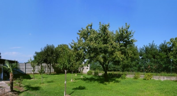 foto1